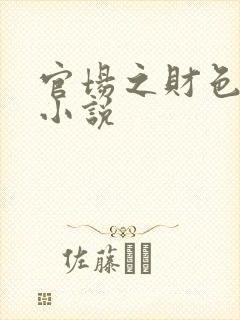 官场之财色诱人小说