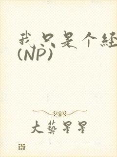 我只是个经纪人(NP)