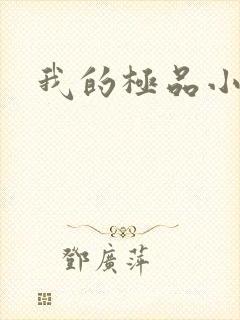我的极品小姨
