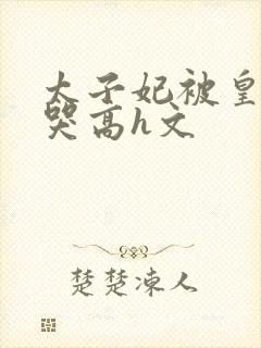 太子妃被皇上c哭高h文