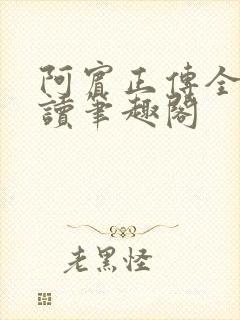 阿宾正传全文阅读笔趣阁