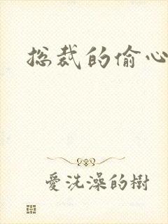 总裁的偷心娇妻