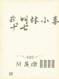 我叫林小喜今年十七