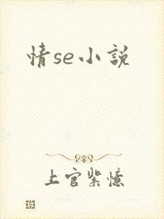 情se小说