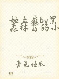 她上瘾by黑暗森林写的小说免费阅读无弹窗