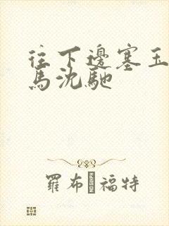 往下边塞玉器骑马沈驰