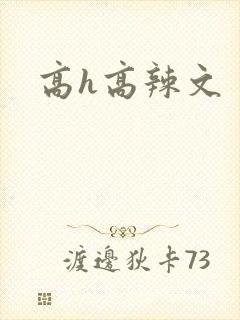 高h高辣文
