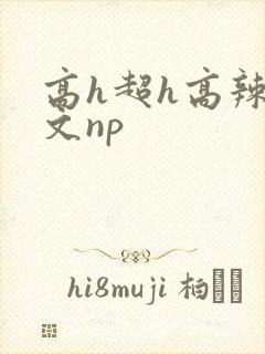 高h超h高辣h文np