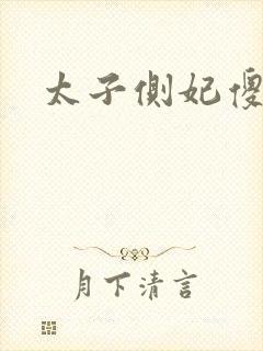 太子侧妃傻乎乎