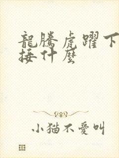 龙腾虎跃下一句接什么