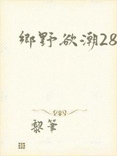 乡野欲潮28章