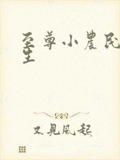 至尊小农民王木生