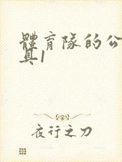 体育队的公用玩具1