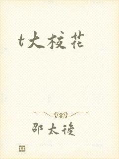 t大校花