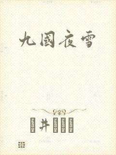 九国夜雪