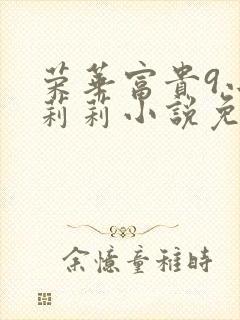 荣华富贵9小王莉莉小说免费阅读