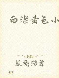 白洁黄色小说