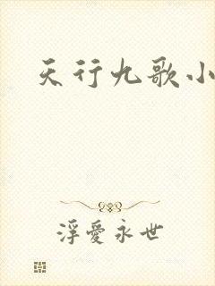 天行九歌小说