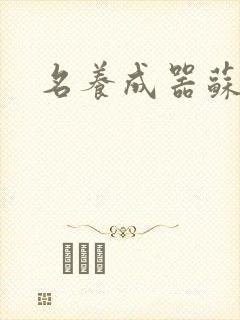 名养成器苏沫沫