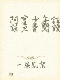 阿宾少年钰慧小说免费阅读笔趣阁