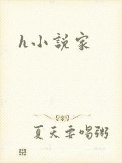 h小说家