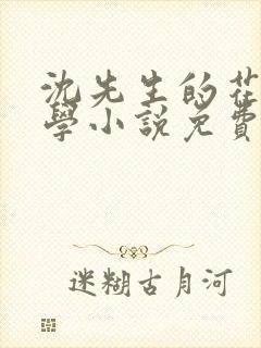 沈先生的花式教学小说免费