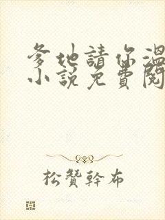 爹地请你温柔点小说免费阅读