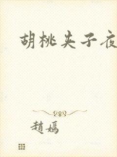 胡桃夹子夜未眠