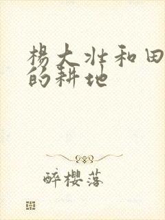 杨大壮和田桂花的耕地