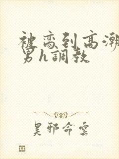 被脔到高潮的直男h调教