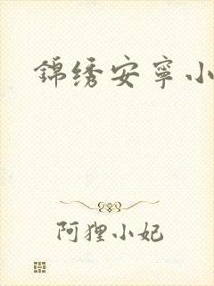 锦绣安宁小说