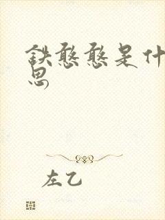 铁憨憨是什么意思