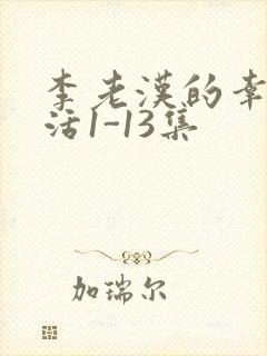 李老汉的幸福生活1-13集