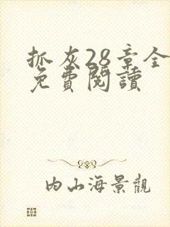 抓灰28章全部免费阅读