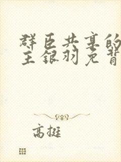 群臣共享的小公主银羽免背刺