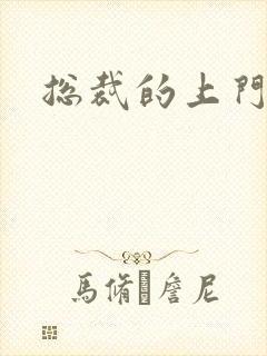 总裁的上门女婿