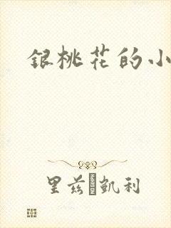 银桃花的小说