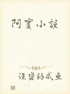 阿宾小说
