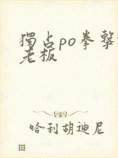 独占po拳击馆老板