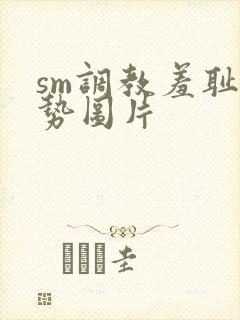 sm调教羞耻姿势图片