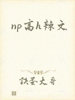 np高h辣文