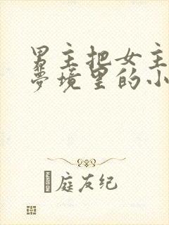 男主把女主拖进梦境里的小说