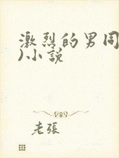 激烈的男同(h)小说