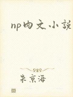 np肉文小说