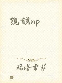 觊觎np