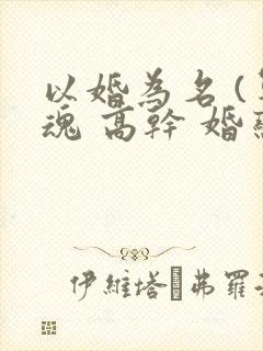 以婚为名 (军魂 高干 婚恋)