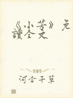 《小芳》免费阅读全文