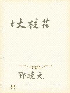 t大校花