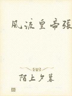 风流皇帝张无忌