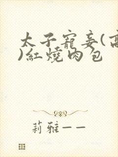 太子宠妾(高肉)红烧肉包